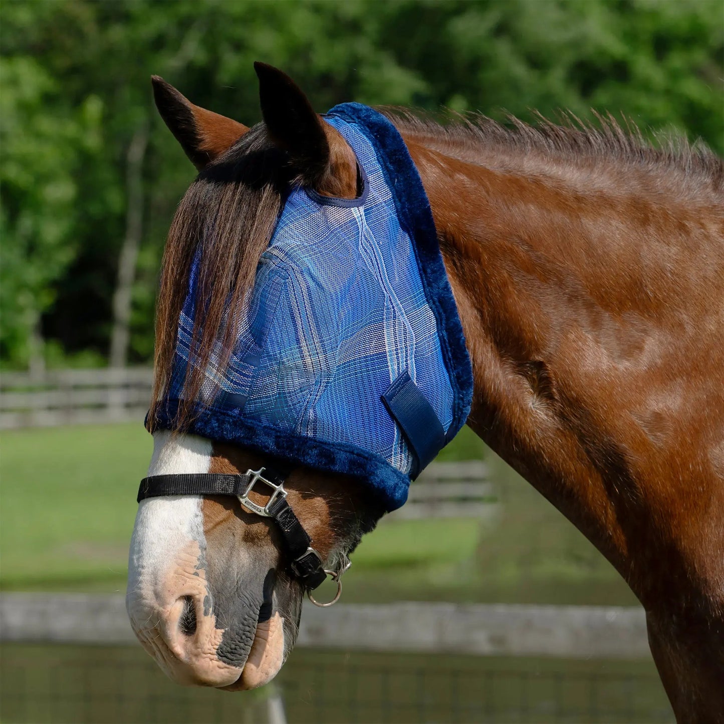 Draft Horse Fly Mask with Fleece Trim & 73% UV Protection - Riders Choice Supply Co