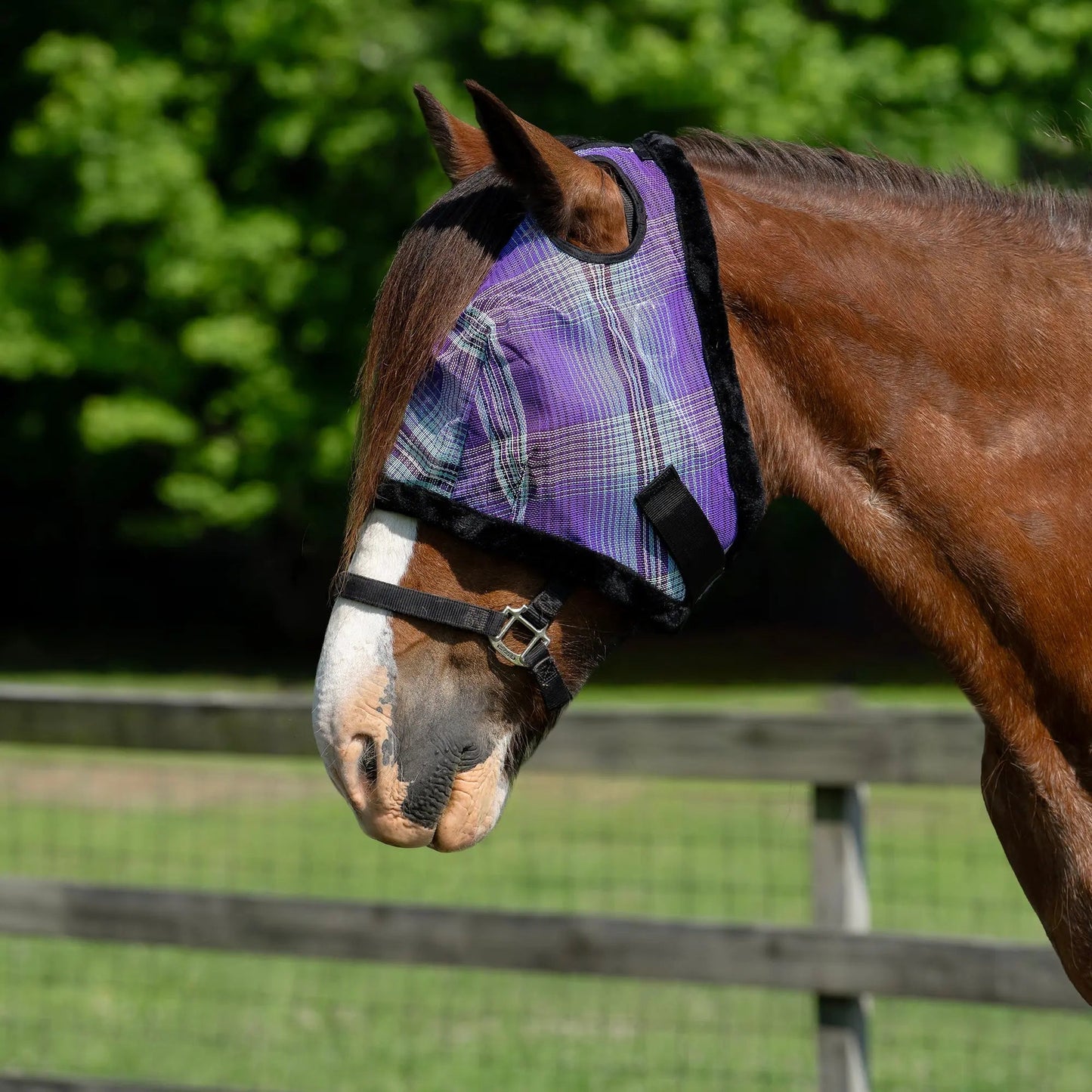 Draft Horse Fly Mask with Fleece Trim & 73% UV Protection - Riders Choice Supply Co
