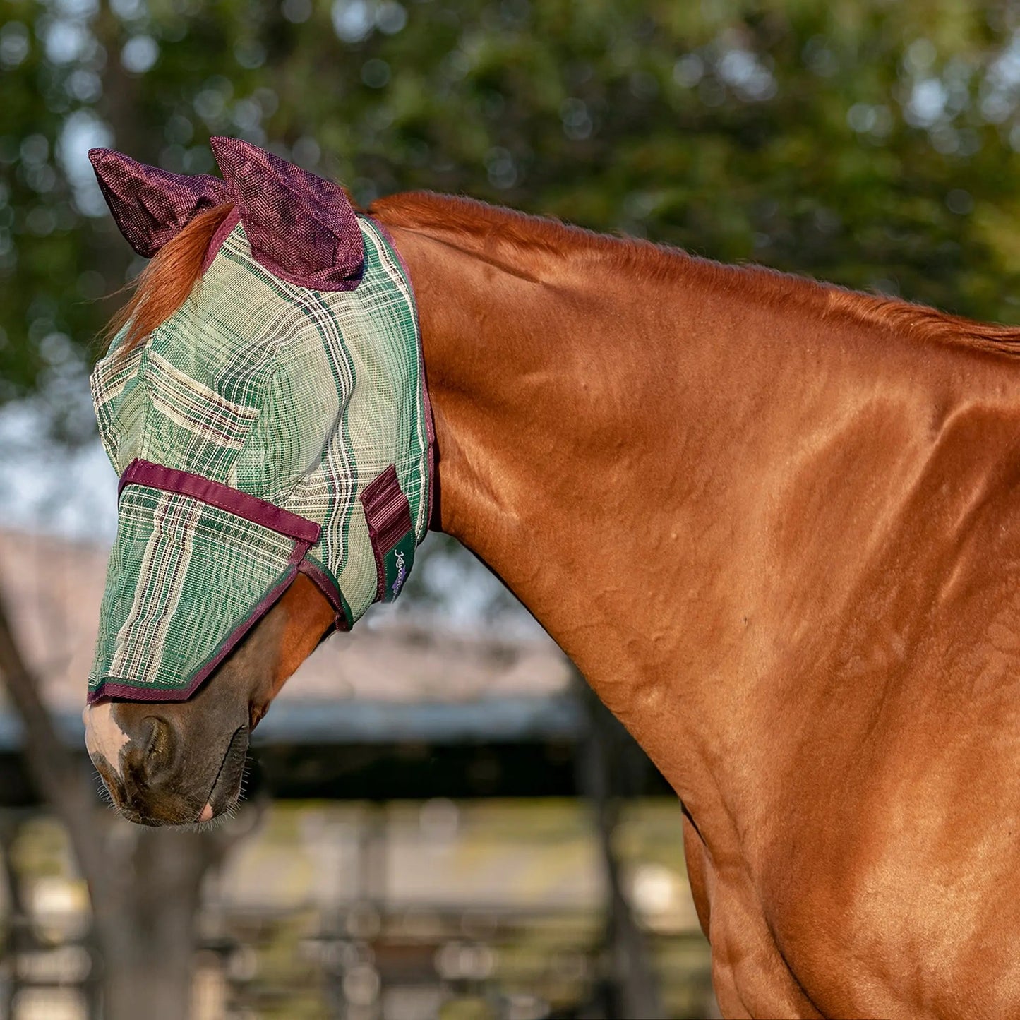 Fly Mask with Long Nose, Ears & 73% UV Protection - Riders Choice Supply Co