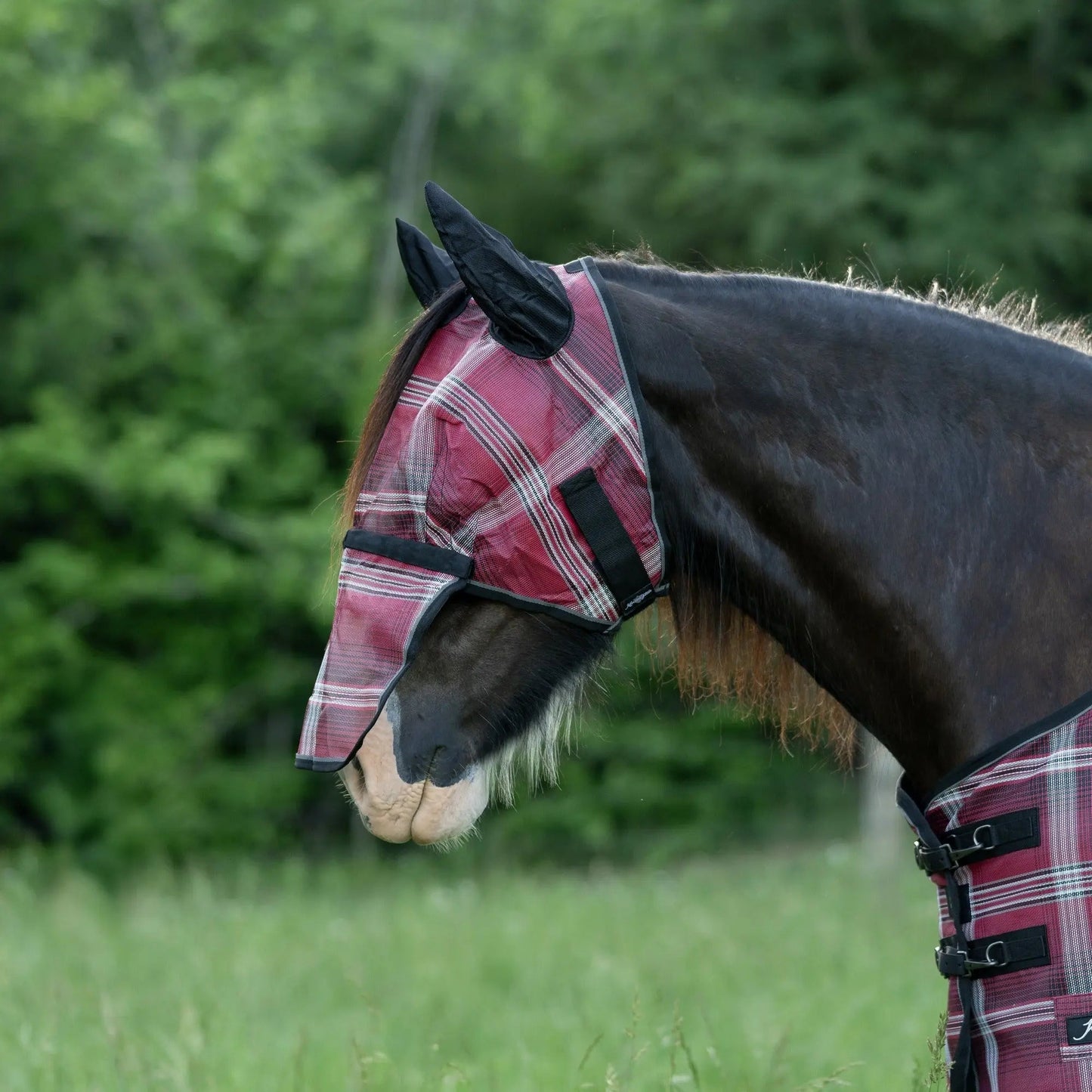 Draft Horse Fly Mask with Long Nose, Ears & 73% UV Protection - Riders Choice Supply Co