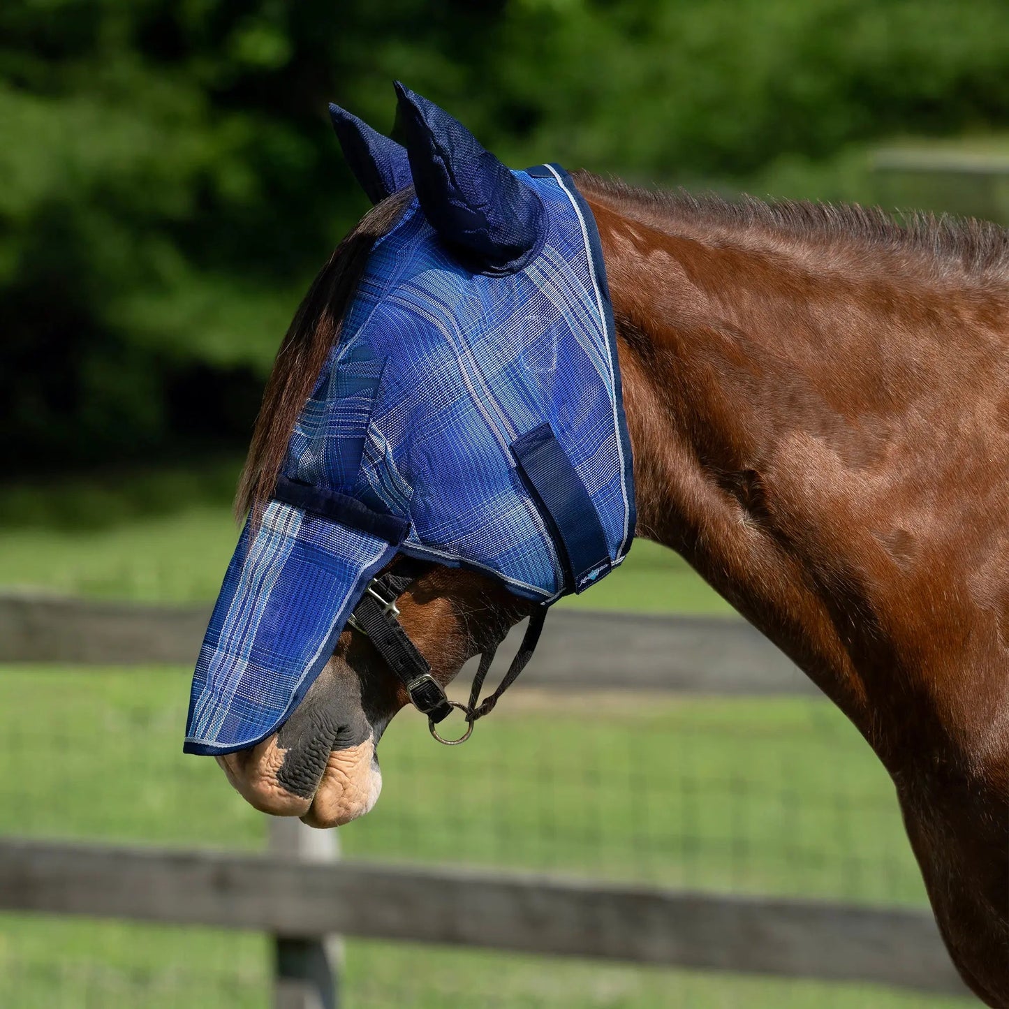 Draft Horse Fly Mask with Long Nose, Ears & 73% UV Protection - Riders Choice Supply Co