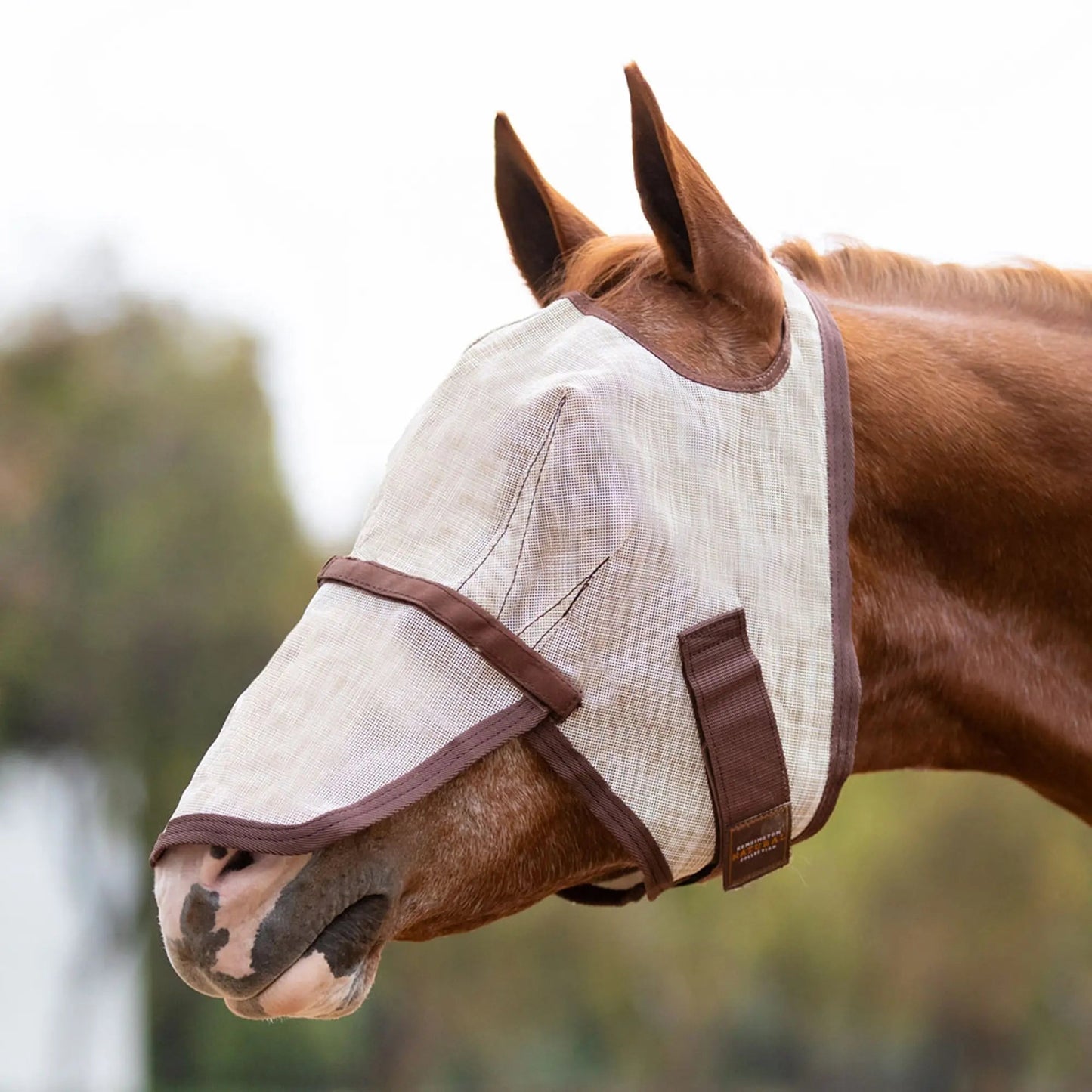 Fly Mask with Nose & 73% UV Protection - Open Top Design - Riders Choice Supply Co