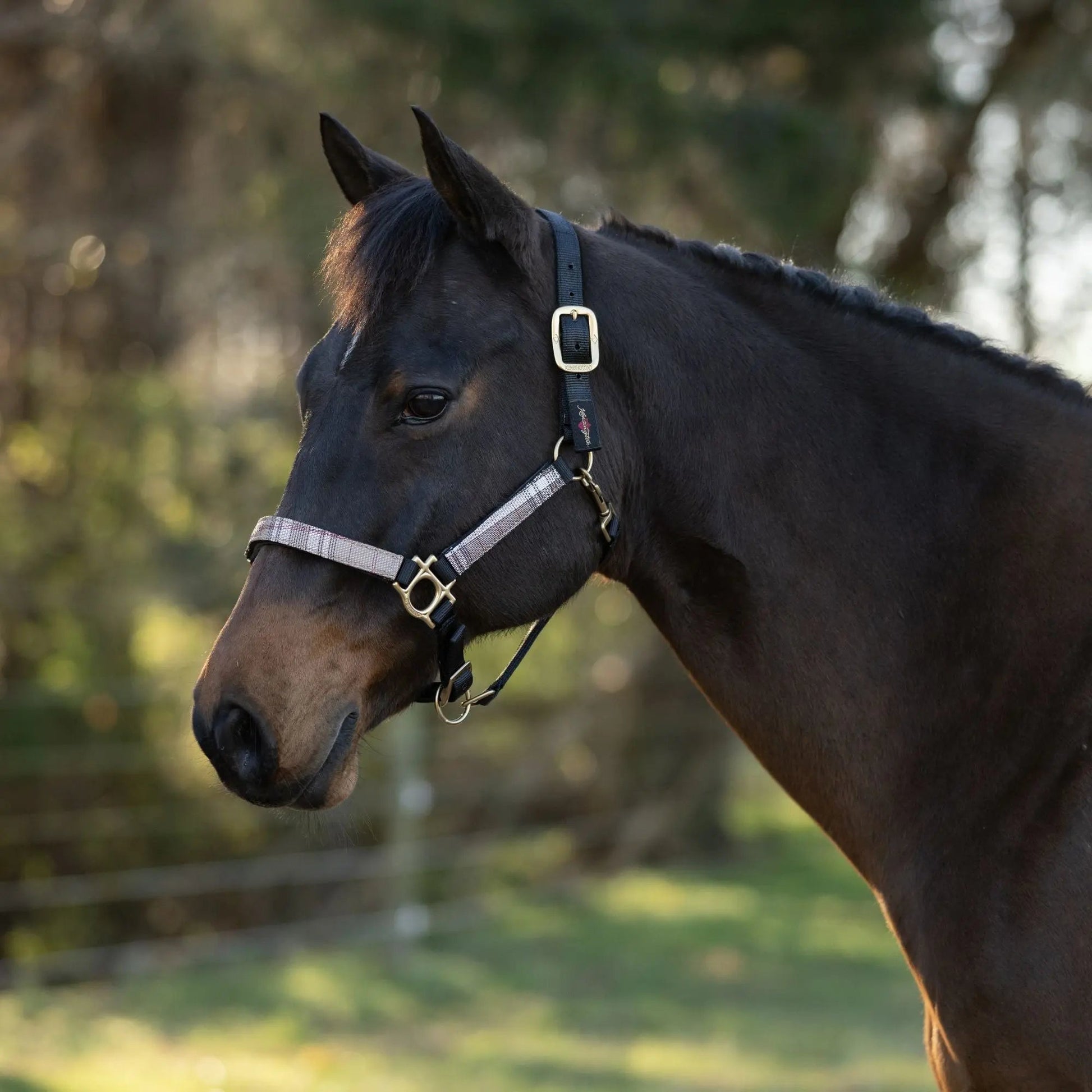 Reflective Nylon Halter with Textliene - Riders Choice Supply Co