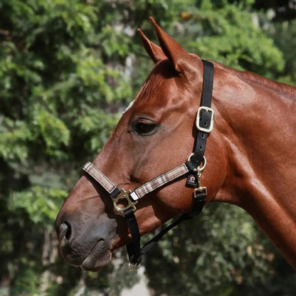 Reflective Nylon Halter with Textliene - Riders Choice Supply Co