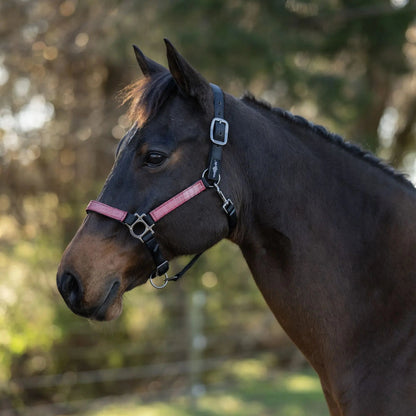 Reflective Nylon Halter with Textliene - Riders Choice Supply Co