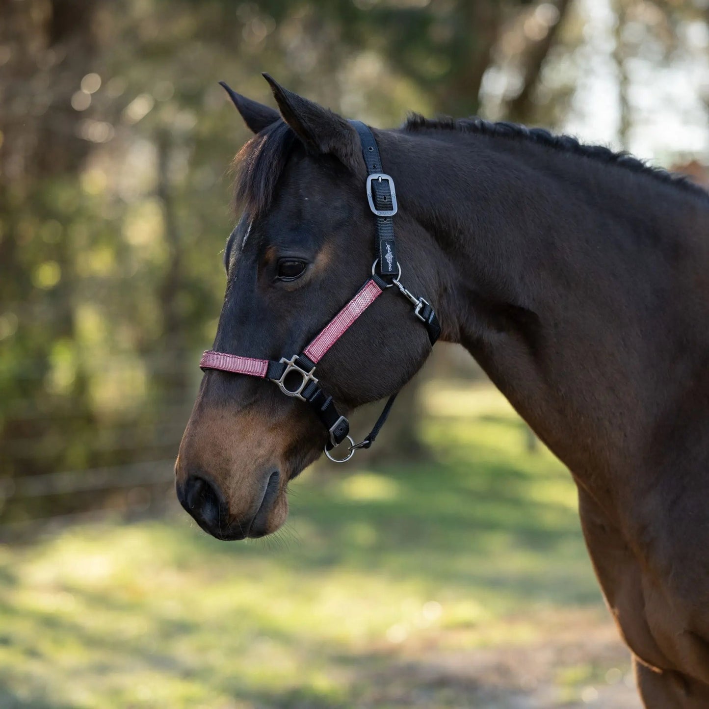 Reflective Nylon Halter with Textliene - Riders Choice Supply Co