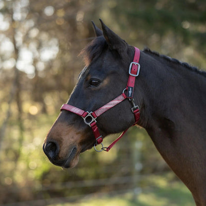 Reflective Nylon Halter with Textliene - Riders Choice Supply Co