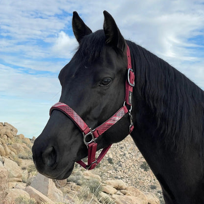 Reflective Nylon Halter with Textliene - Riders Choice Supply Co