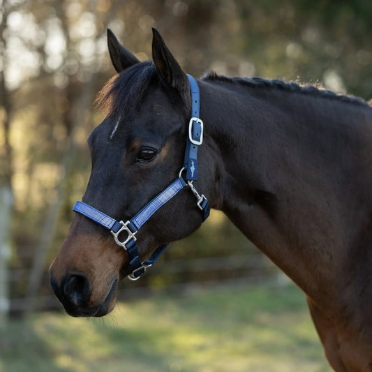 Reflective Nylon Halter with Textliene - Riders Choice Supply Co