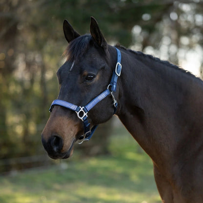 Reflective Nylon Halter with Textliene - Riders Choice Supply Co