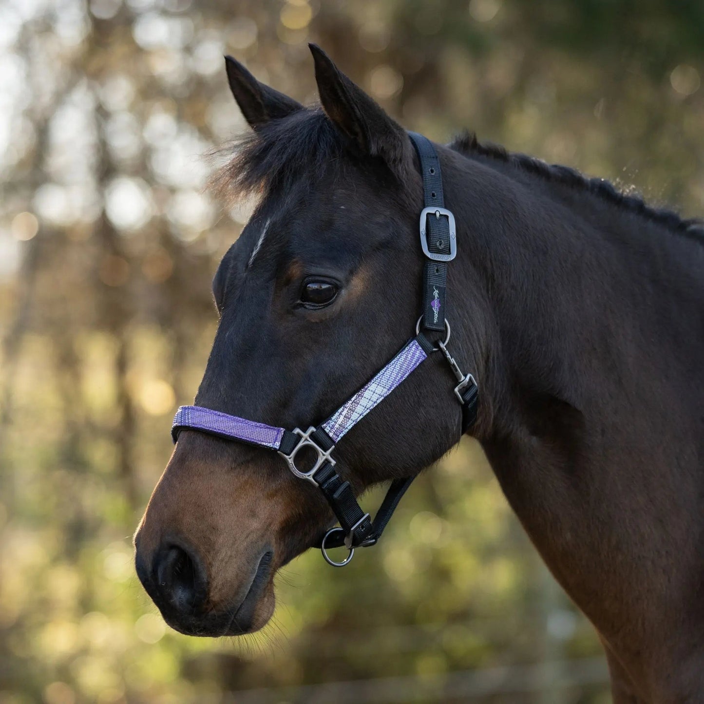 Reflective Nylon Halter with Textliene - Riders Choice Supply Co