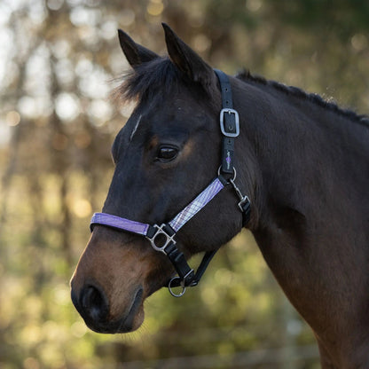 Reflective Nylon Halter with Textliene - Riders Choice Supply Co