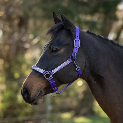Reflective Nylon Halter with Textliene - Riders Choice Supply Co