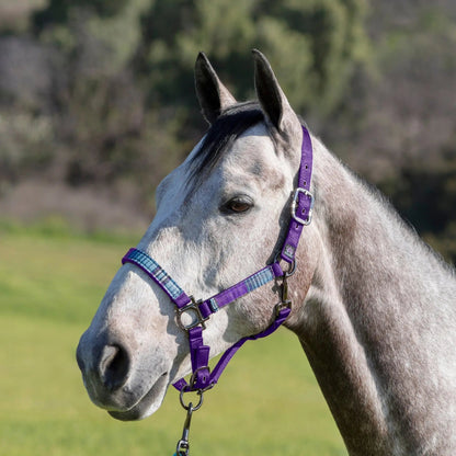 Reflective Nylon Halter with Textliene - Riders Choice Supply Co