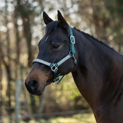 Reflective Nylon Halter with Textliene - Riders Choice Supply Co