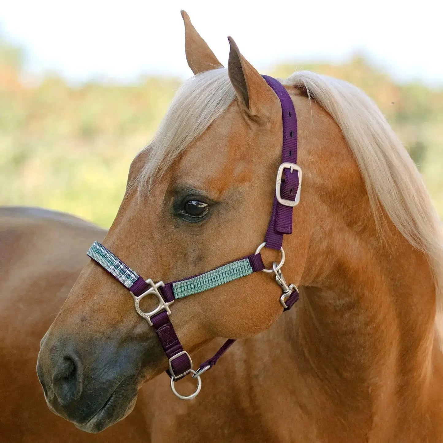 Reflective Nylon Halter with Textliene - Riders Choice Supply Co