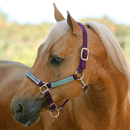 Reflective Nylon Halter with Textliene - Riders Choice Supply Co