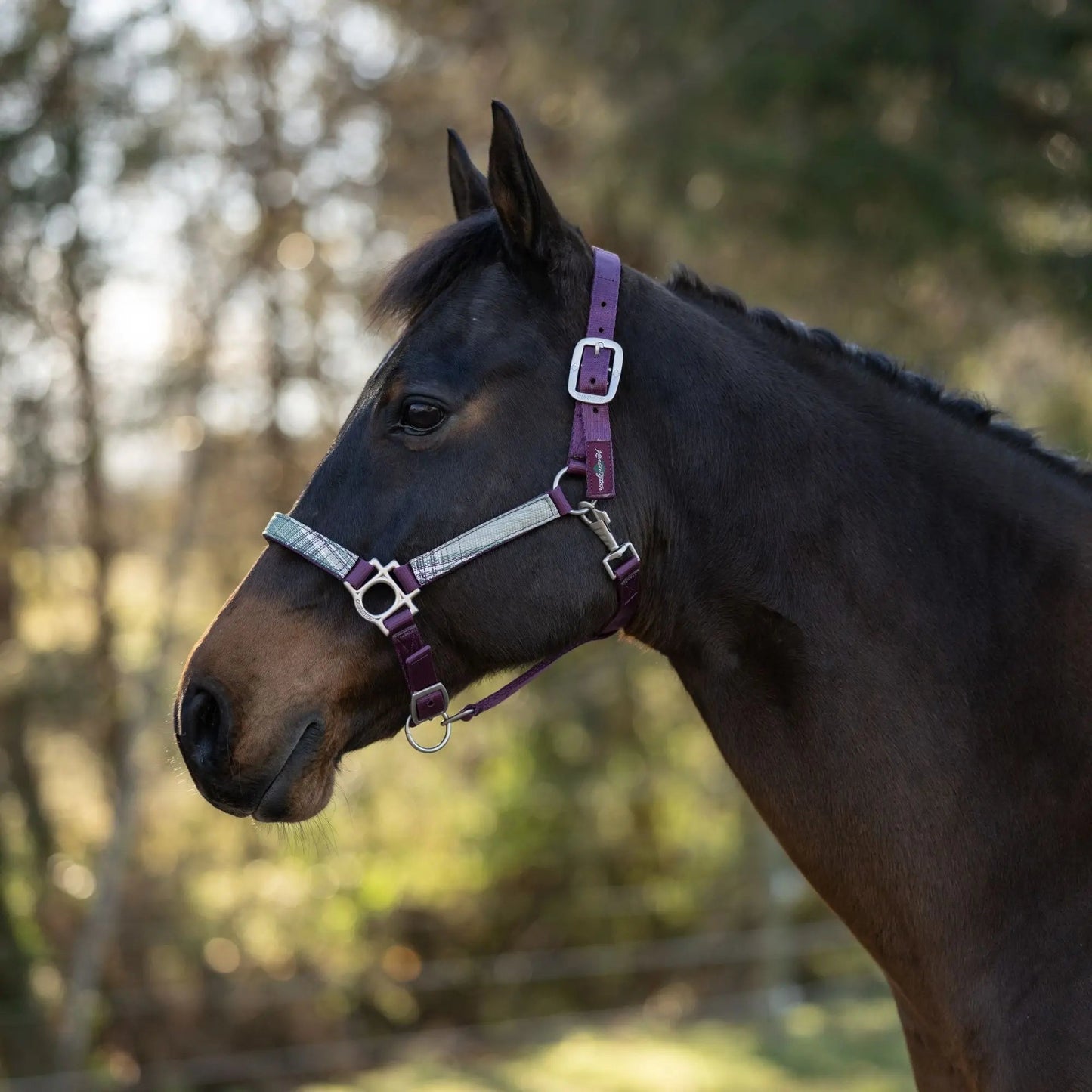 Reflective Nylon Halter with Textliene - Riders Choice Supply Co
