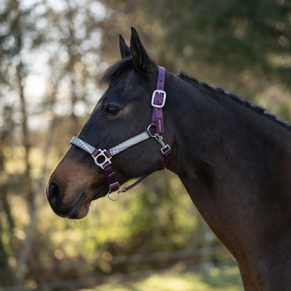 Reflective Nylon Halter with Textliene - Riders Choice Supply Co