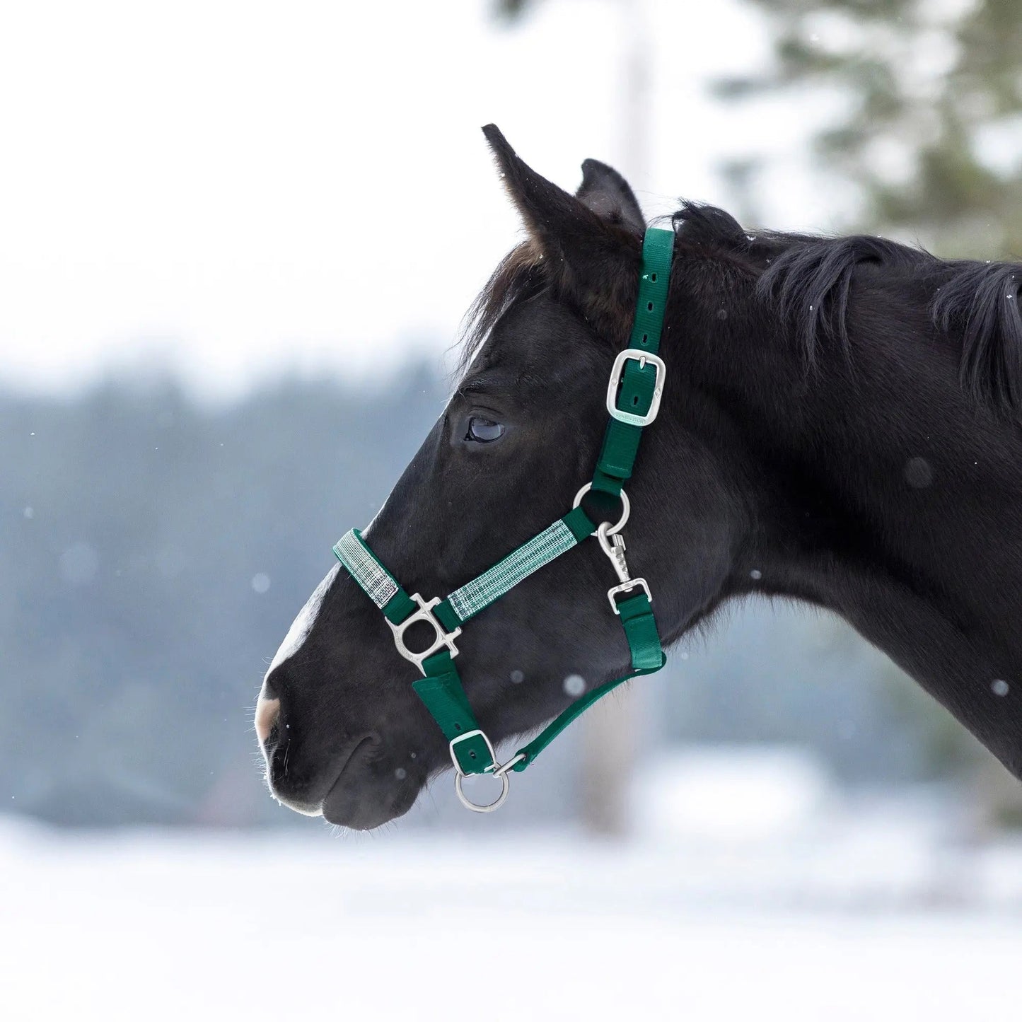 Reflective Nylon Halter with Textliene - Riders Choice Supply Co