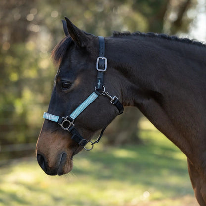 Reflective Nylon Halter with Textliene - Riders Choice Supply Co