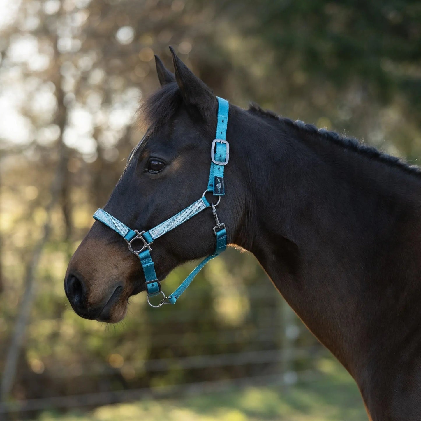 Reflective Nylon Halter with Textliene - Riders Choice Supply Co