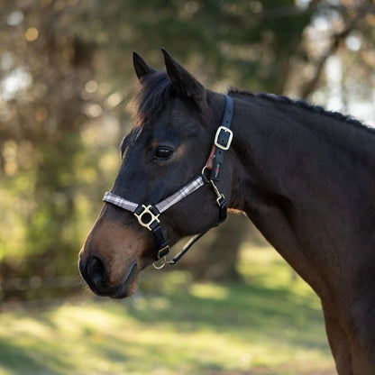 Reflective Breakaway Nylon Halter with Textliene - Riders Choice Supply Co