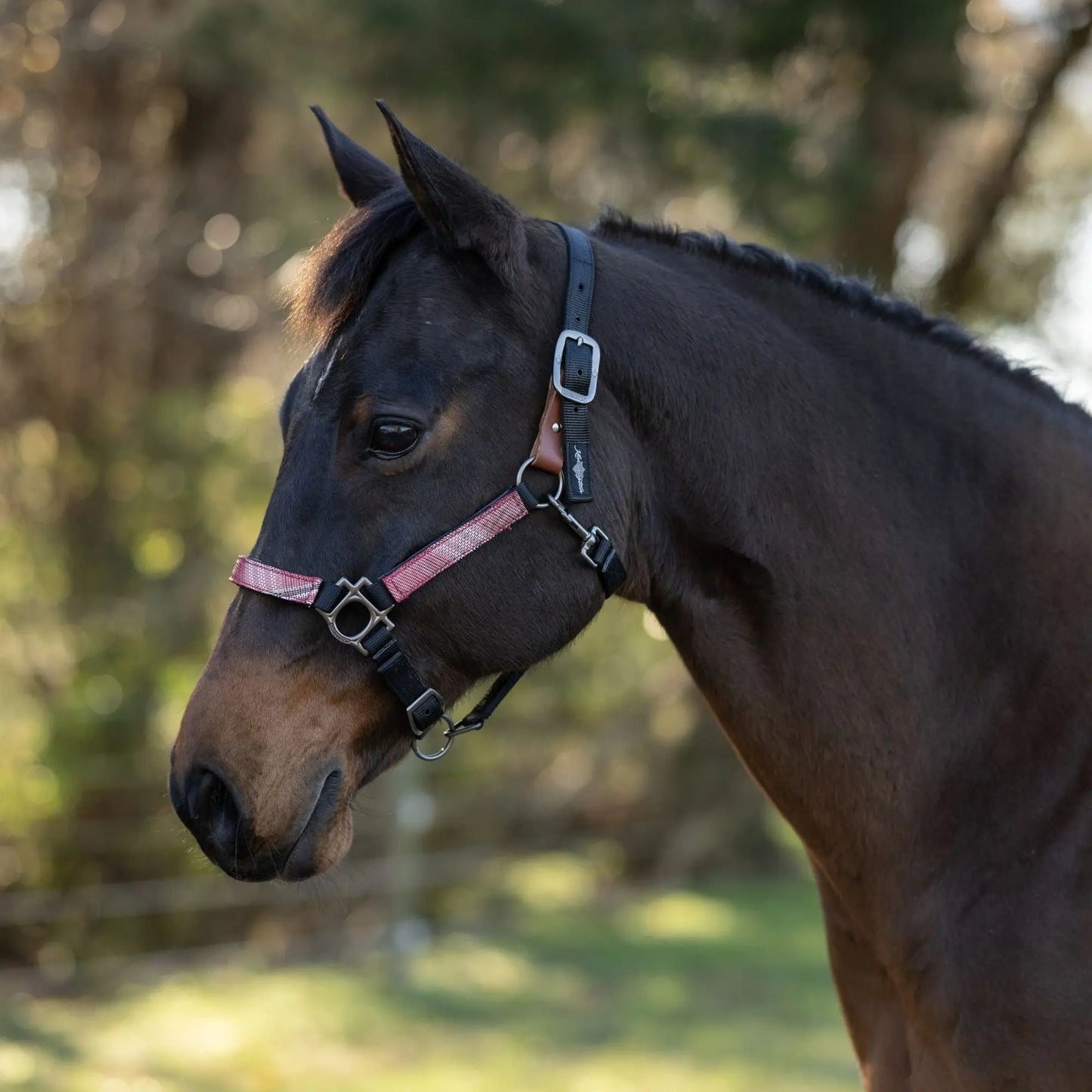 Reflective Breakaway Nylon Halter with Textliene - Riders Choice Supply Co
