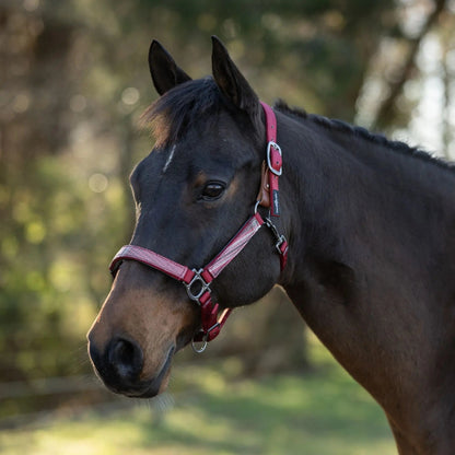 Reflective Breakaway Nylon Halter with Textliene - Riders Choice Supply Co
