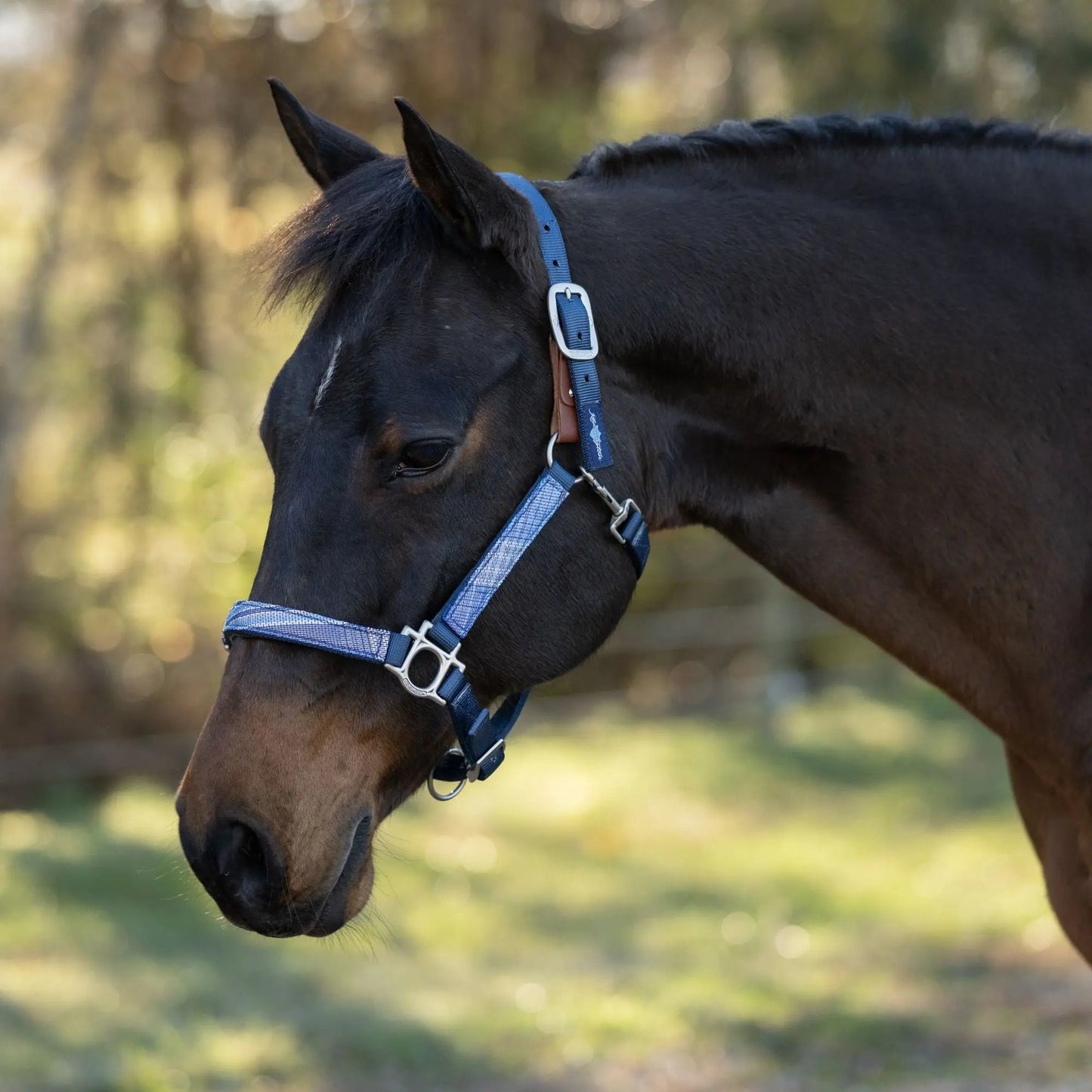 Reflective Breakaway Nylon Halter with Textliene - Riders Choice Supply Co