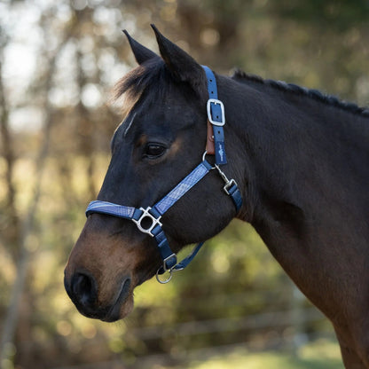 Reflective Breakaway Nylon Halter with Textliene - Riders Choice Supply Co