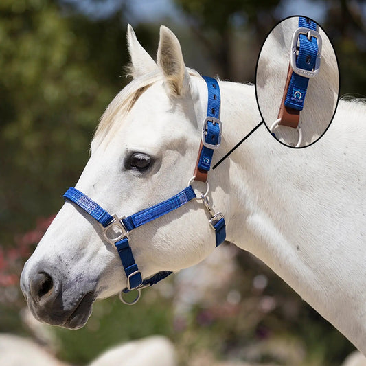Reflective Breakaway Nylon Halter with Textliene - Riders Choice Supply Co