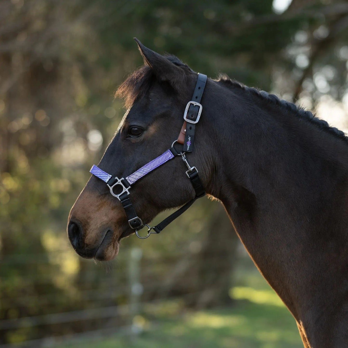Reflective Breakaway Nylon Halter with Textliene - Riders Choice Supply Co