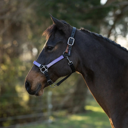Reflective Breakaway Nylon Halter with Textliene - Riders Choice Supply Co