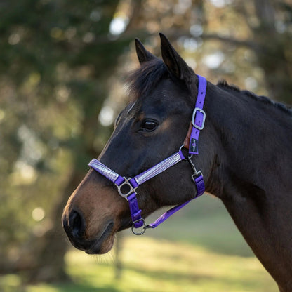 Reflective Breakaway Nylon Halter with Textliene - Riders Choice Supply Co
