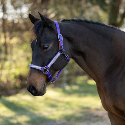Reflective Breakaway Nylon Halter with Textliene - Riders Choice Supply Co
