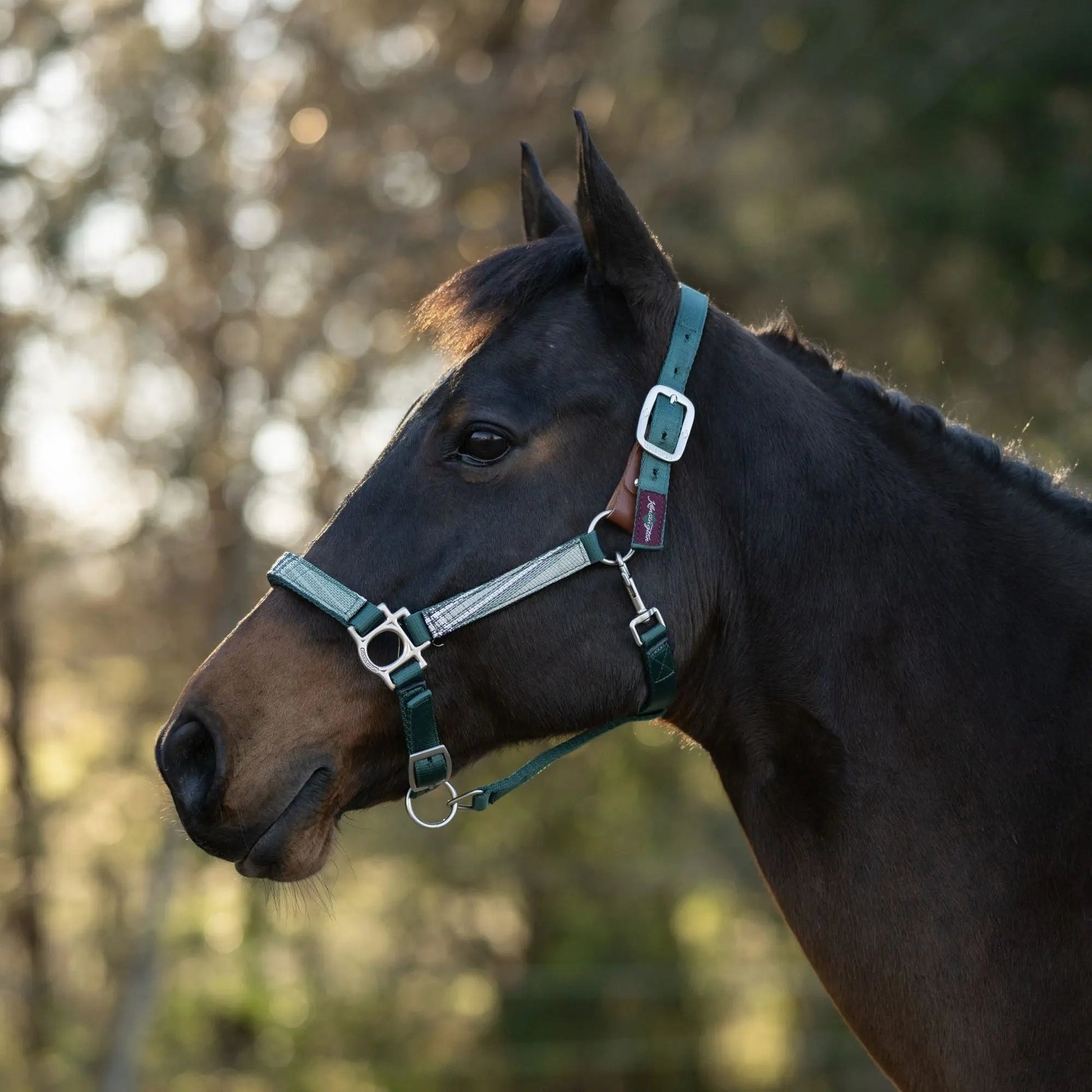 Reflective Breakaway Nylon Halter with Textliene - Riders Choice Supply Co