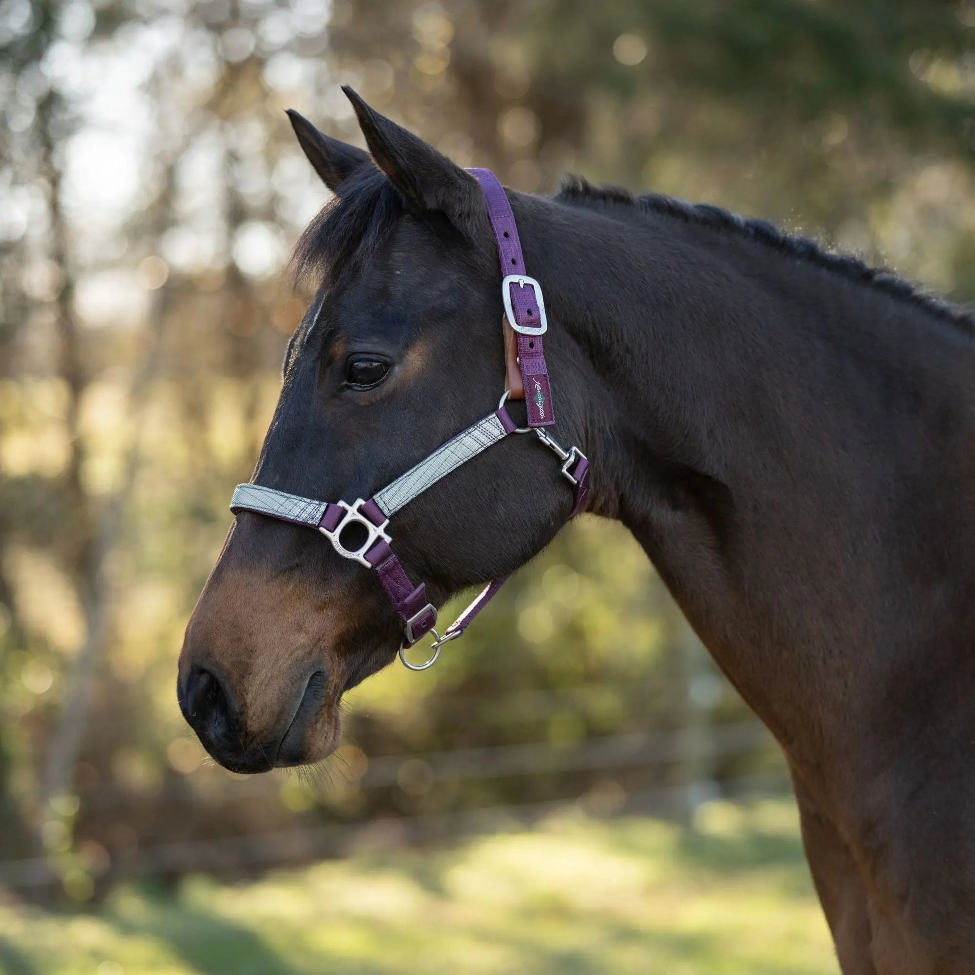 Reflective Breakaway Nylon Halter with Textliene - Riders Choice Supply Co