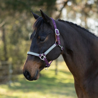 Reflective Breakaway Nylon Halter with Textliene - Riders Choice Supply Co
