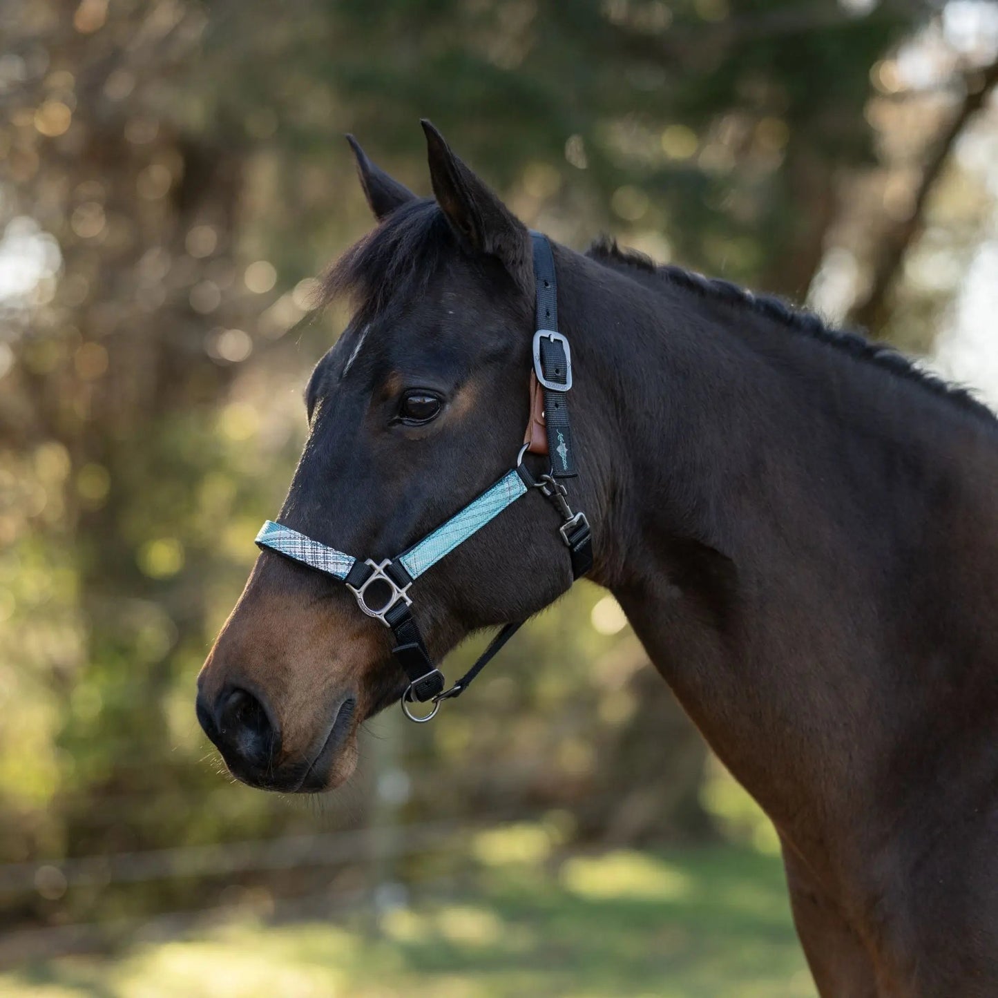 Reflective Breakaway Nylon Halter with Textliene - Riders Choice Supply Co