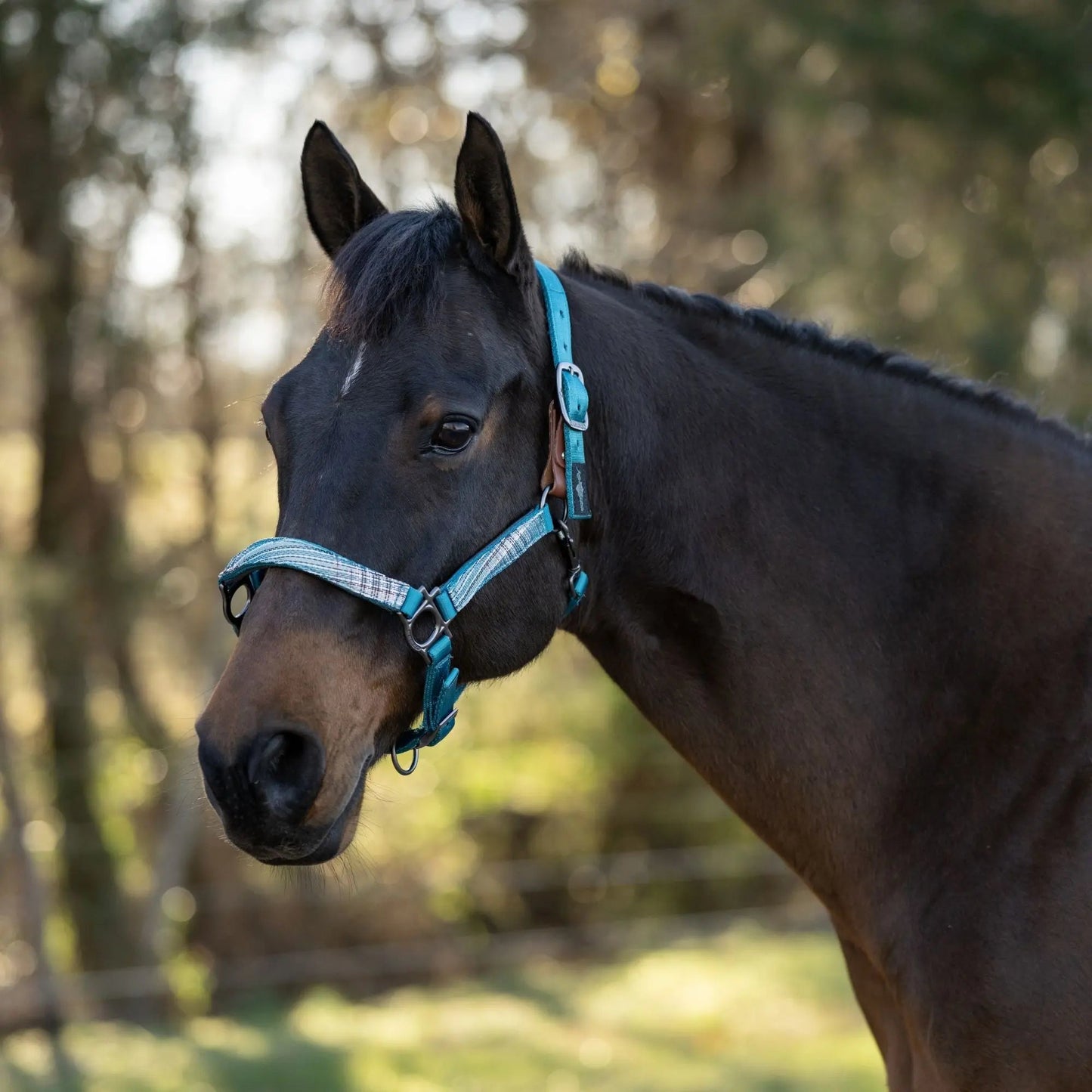 Reflective Breakaway Nylon Halter with Textliene - Riders Choice Supply Co