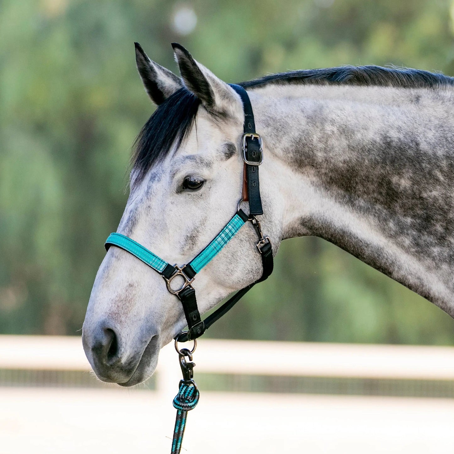 Reflective Breakaway Nylon Halter with Textliene - Riders Choice Supply Co
