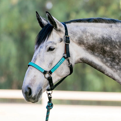 Reflective Breakaway Nylon Halter with Textliene - Riders Choice Supply Co