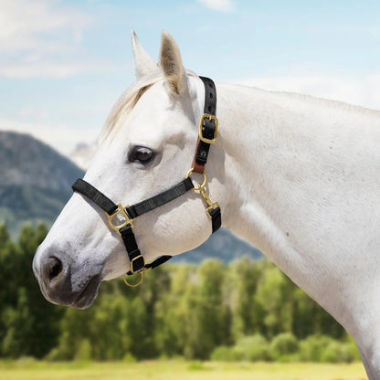 Reflective Breakaway Nylon Halter with Textliene - Riders Choice Supply Co