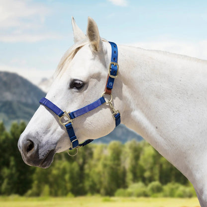 Reflective Breakaway Nylon Halter with Textliene - Riders Choice Supply Co