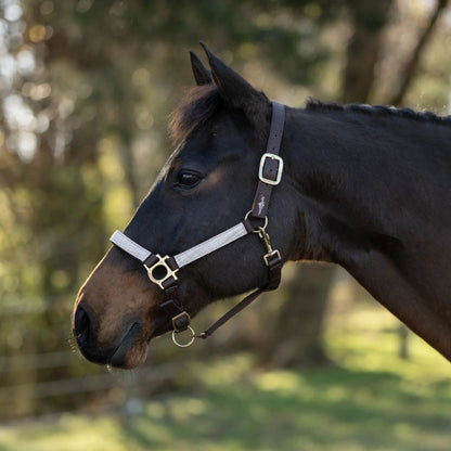 Reflective Breakaway Nylon Halter with Textliene - Riders Choice Supply Co