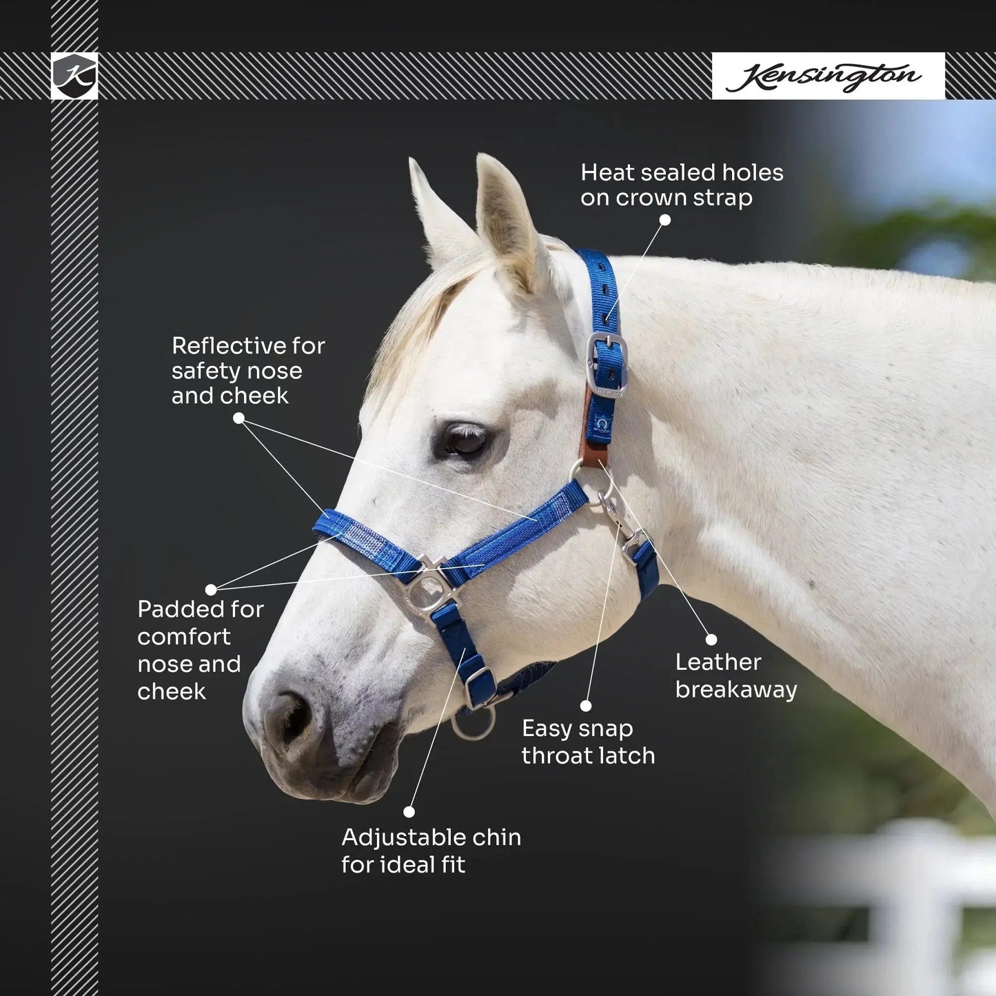 Reflective Breakaway Nylon Halter with Textliene - Riders Choice Supply Co