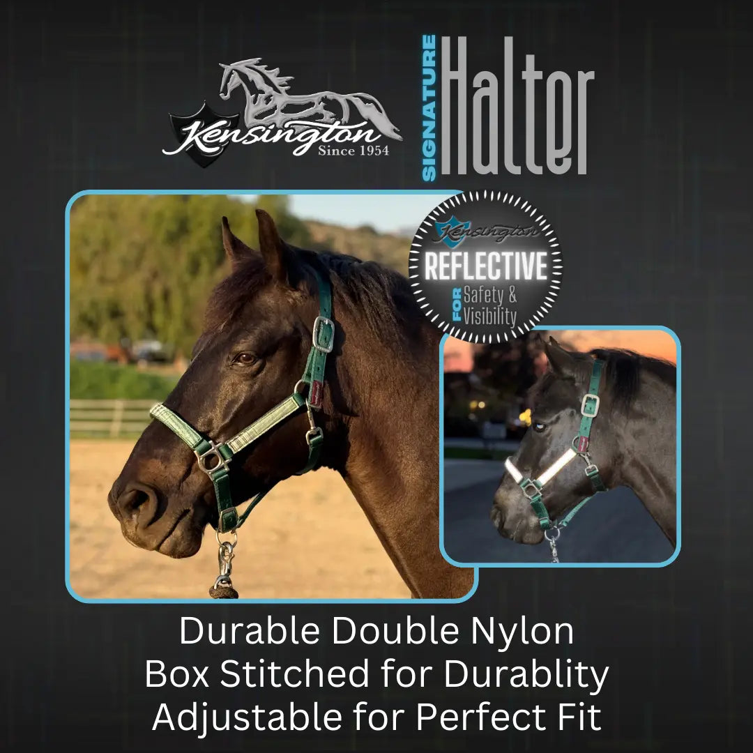 Reflective Nylon Halter with Textliene - Riders Choice Supply Co