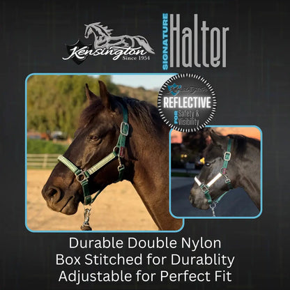 Reflective Nylon Halter with Textliene - Riders Choice Supply Co