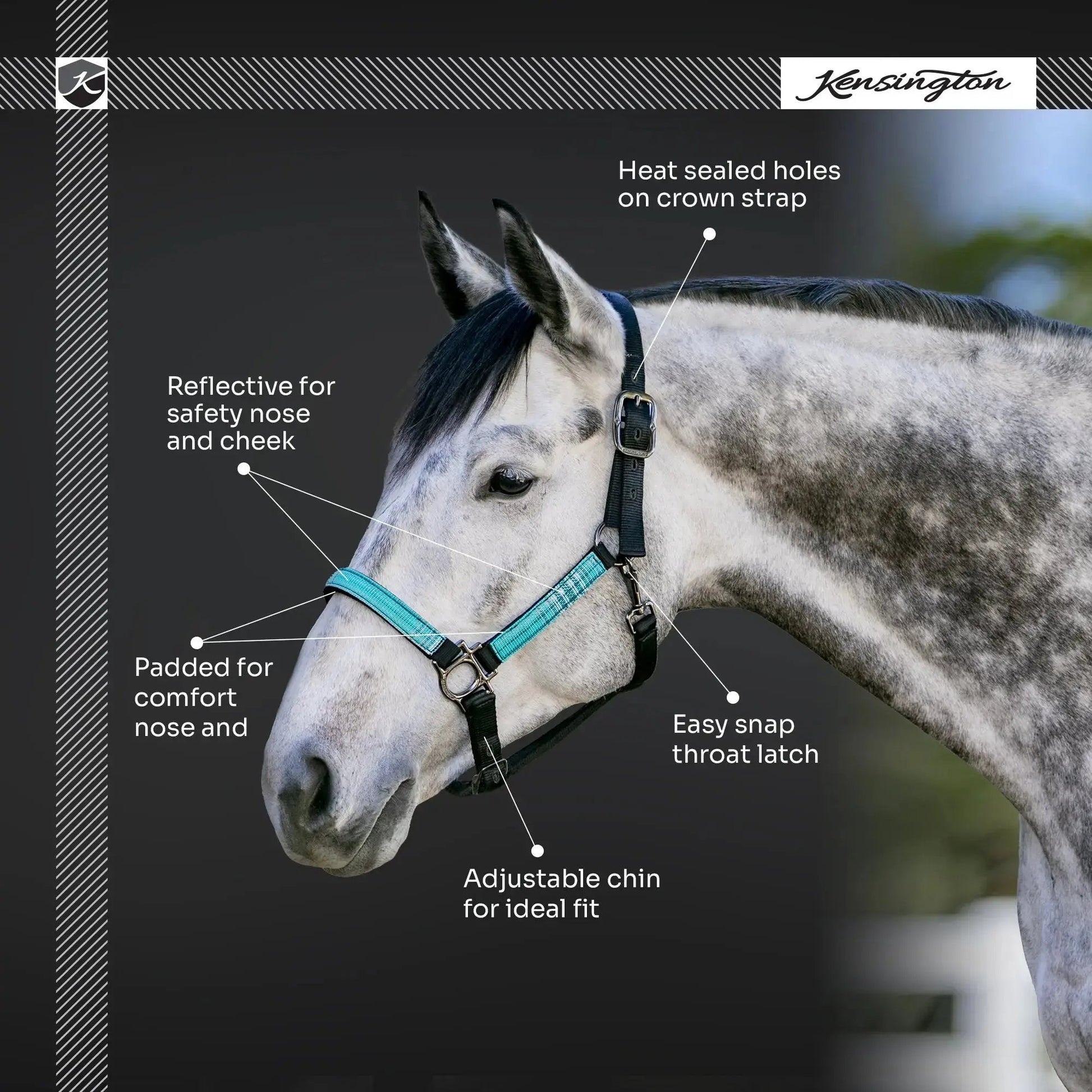 Reflective Nylon Halter with Textliene - Riders Choice Supply Co